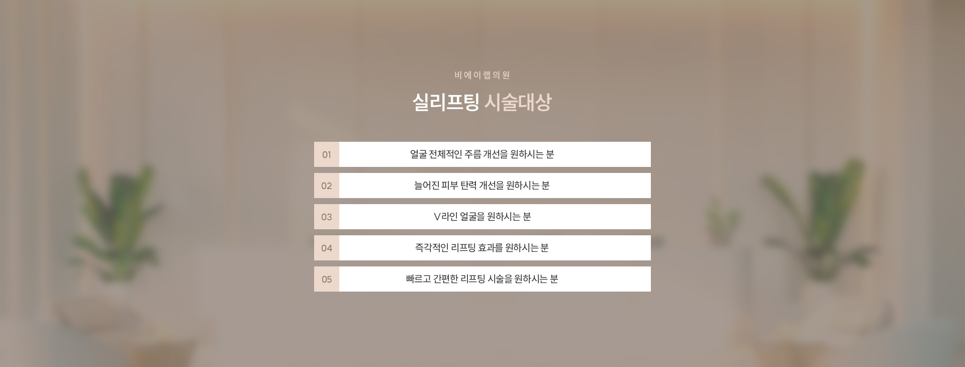 리프팅/실리프팅 11