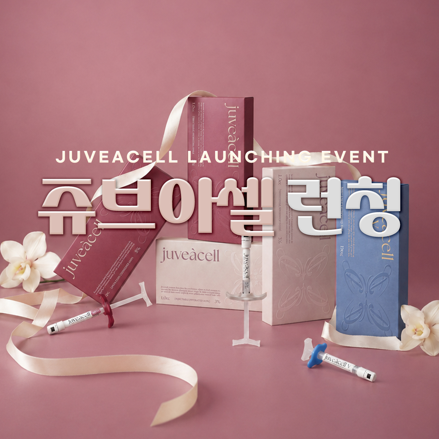 🩷쥬브아셀 런칭🩷